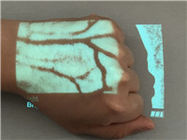 Детектор вены точного дисплея в реальном времени вены Хандхэльд ультракрасный с 2 изображениями цветов регулируемыми
