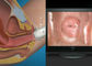 Выход Колпоскопе АВ/УСБ цифров высокого прибора определения видео- гинекологического электронный