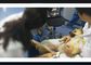 Использование человека или ветеринара зонда ультразвука сердечной Хандхэльд машины ультразвука беспроводное доступное