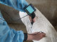 Блок развертки ультразвука цифров медицинский ветеринарный с экраном 3,5 дюймов и частотой Порбе 2.5М 3.5М
