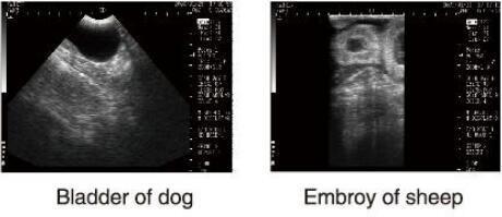 Блок развертки ультразвука диагностического оборудования ультразвука ветеринарный с программным обеспечением ОБ для животных и хранения 100 изображений