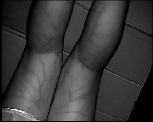 Высокий тип прибор таблицы разрешения 800С480 локатора вены с экраном 3.5Инч для ноги руки руки