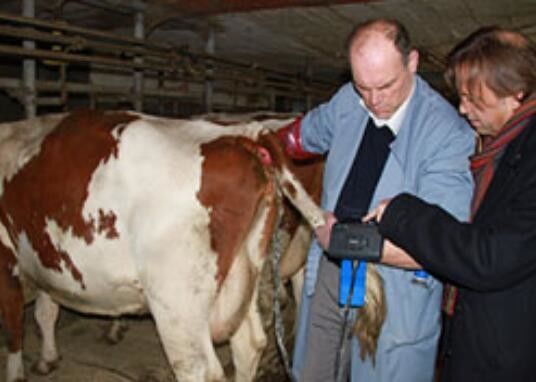 Цифровой ветеринарный ультразвуковой сканер