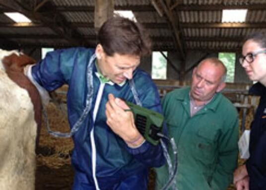 Миниатюрный ветеринарный ультразвуковой сканер